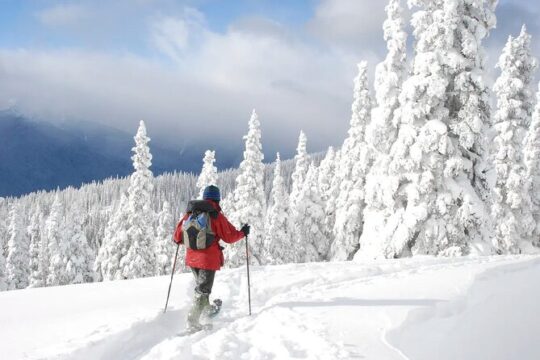 Lake Tahoe Snowshoe Rental Packages